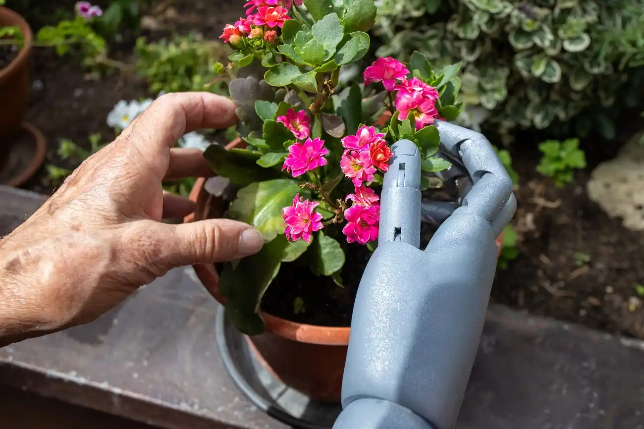Gardening with Prosthetics: Cultivating Your Green Space After Limb Loss
