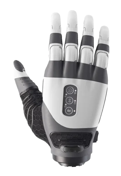 Upper limb