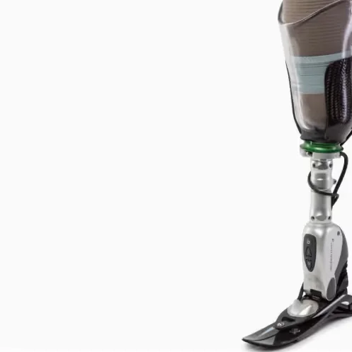 artificial leg.