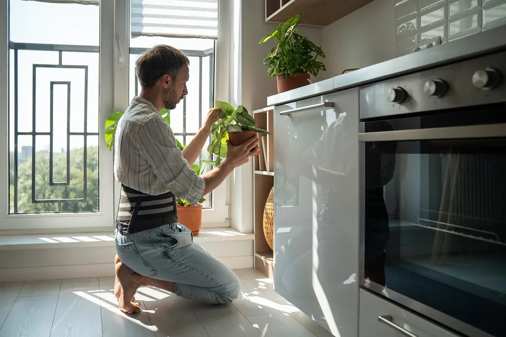 Man wearing a back brace tending houseplants by a sunny kitchen window.